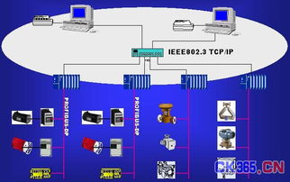 现场总线PROFIBUS系统集成与信息系统集成